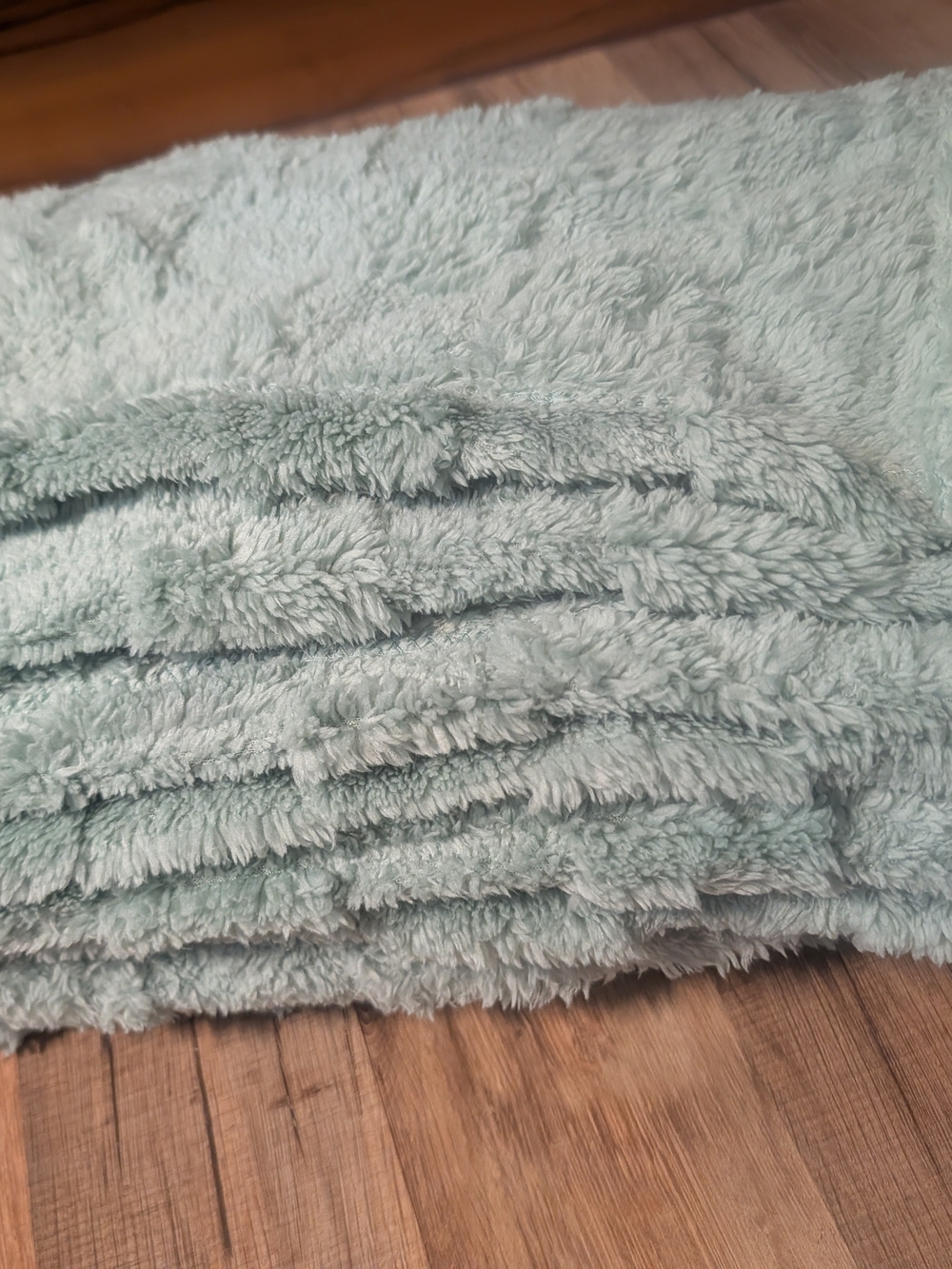 Source Unknown Plush Throw Blanket - Light Mint